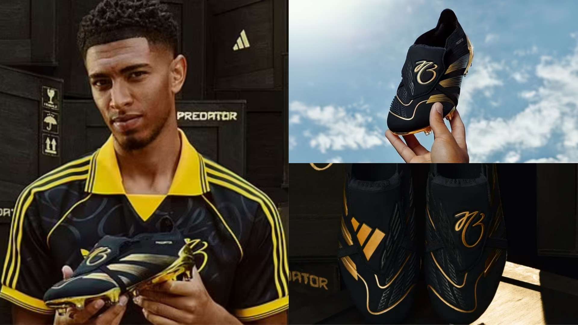 回顾了过去 回顾了过去