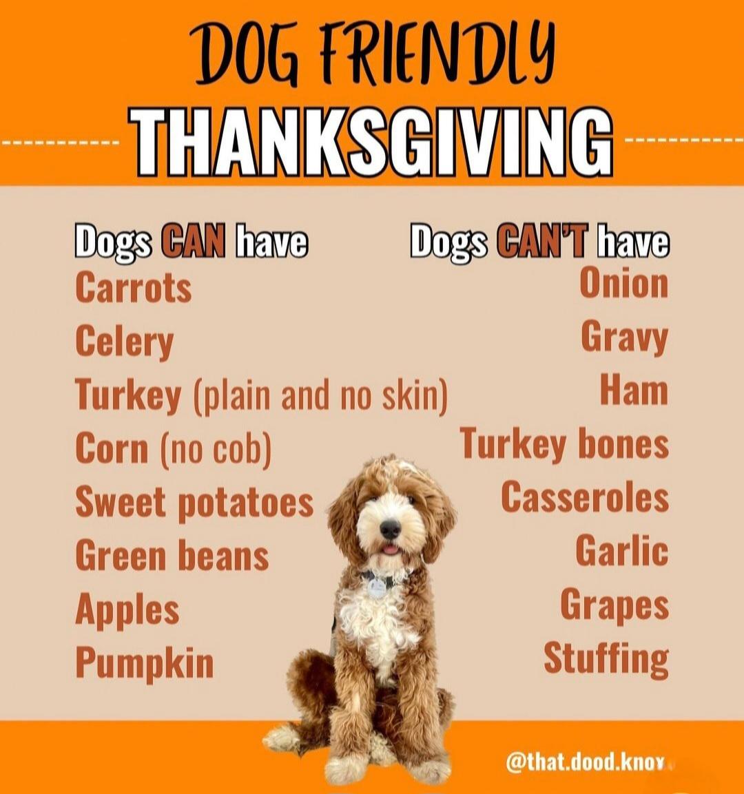 球迷期待 球迷期待