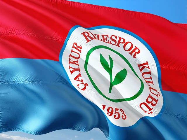 一支拥有广 一支拥有广