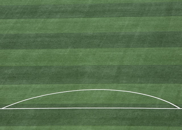 这些成功经 这些成功经